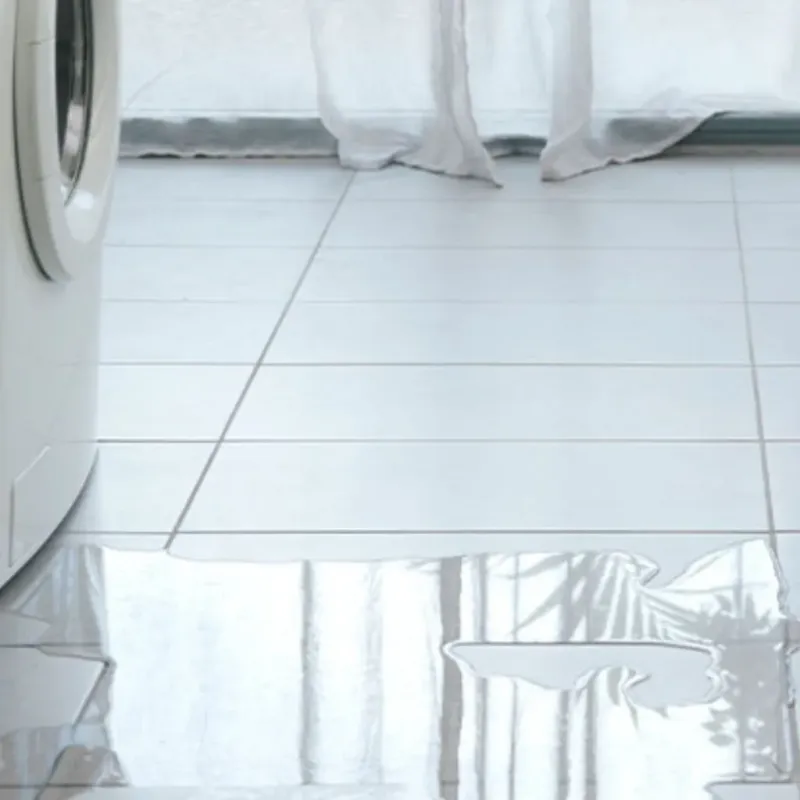Appliance Leak Cleanup in Rochester, IL