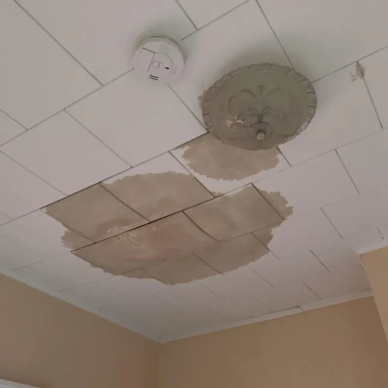 Ceiling Water Damage Repair in Rochester, IL