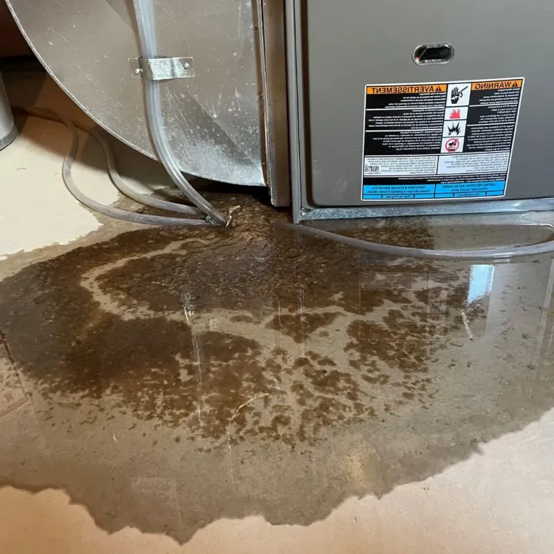 Pipe Burst and Leak Restoration in Rochester, IL